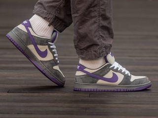 Nike Sb Dunk Low Purple Pigeon Unisex foto 10