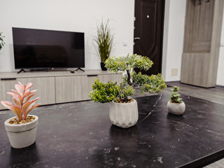 Apartament cu 1 cameră,  Centru,  Chișinău,  Chișinău mun. foto 0
