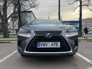 Lexus NX Series