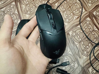 Игровые мышки Razer Kibra Logitech g102 Ardor foto 3