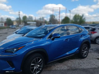 Lexus NX Series