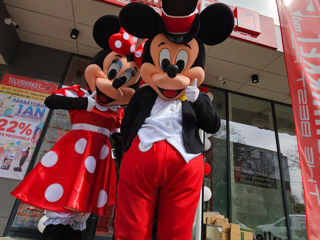 Mickey și Minnie Mouse / Микки и Минни маус аниматоры / animatori mascote Moldova foto 4