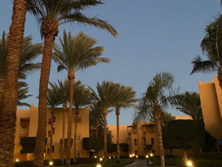 Vacanta ta de vis in Egypt-Hurghada la super preturi!!!Zbor pe 03,06,10,13 iulie!