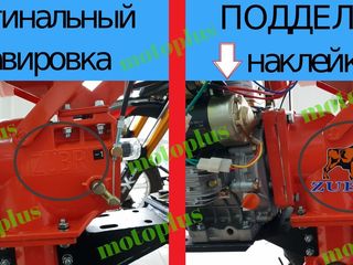 Motoblocuri Zubr benzina,diesel racire pe aer/apa ,minitractoare Magazin Motoplus cel mai mic pret foto 5