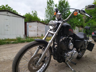 Harley - Davidson XL1200V foto 7