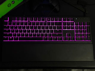 Tastatura si mouse Razer Ornata v3 foto 4