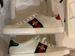 Кроссовки Gucci Ace Оригинал