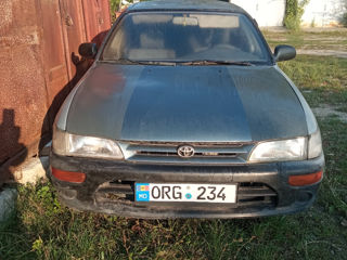 Toyota Corolla foto 1