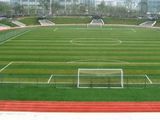 Искусственная трава для спорта одобрено ФИФА. foto 2