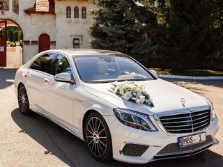 Chirie/аренда Mercedes S Class W222 AMG S65 Long alb/белый