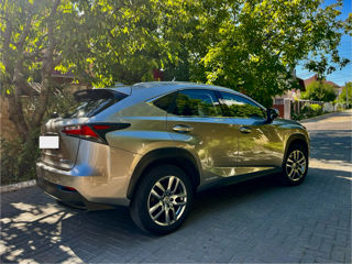 Lexus NX Series foto 3