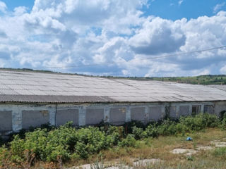 Строения 2000 кв.м. Земля 3,5 Га. фото 1