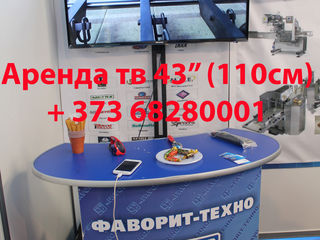 Аренда LED TV 55" - 75" foto 8