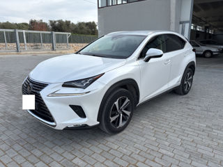 Lexus NX Series