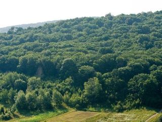 Tohatin sat Buneț teren 11.5 ari pentru construcție foto 1