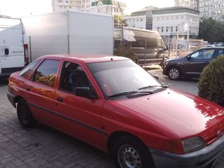 Nissan Primera foto 5