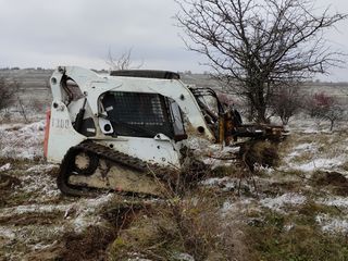 Oferim servicii de defrișare terenurilor agricole. Bobcat foto 3