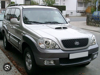 Hyundai terrakan foto 3