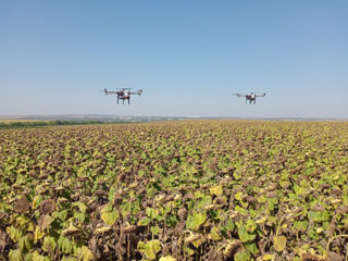Agro drone stropirea cu erbicide tratarea împotriva bolilor și dăunătorilor drona agricola агродрон foto 6