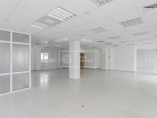 Chirie, oficiu, Business Centru, Botanica, 176 m.p, 2875€ foto 2