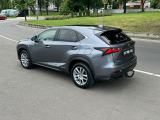 Lexus NX Series foto 8