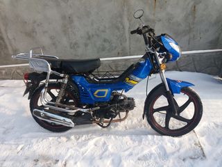 Alpha Moto moped foto 3