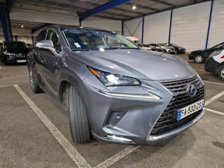 Lexus NX Series