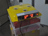 incubator automat 48 oua gaina,rata,ghisca foto 9