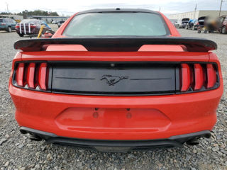 Ford Mustang foto 5