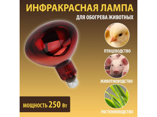 Emițător termic, lampă cu infraroșu pentru încălzirea păsărilor și animalelor ICKPA, reflector R125, foto 7