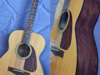 fender, Ibanez, SX , Harley benton 120  (v korobke) novaya фото 2