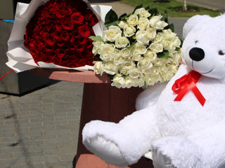 Livrare flori Moldova фото 1
