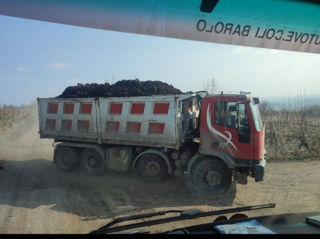 Demolam si evacuam cu teehnika speciala foto 7