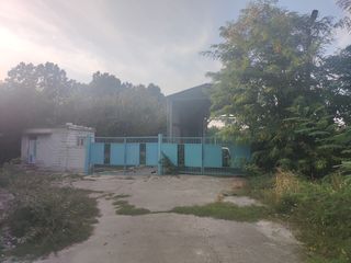 Se vinde teren cu construcții în orasul Edinet 1,5 ha foto 4