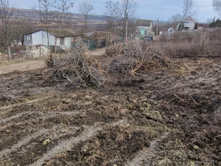 Сделаем генеральную уборку на Вашем земельном участке. foto 3