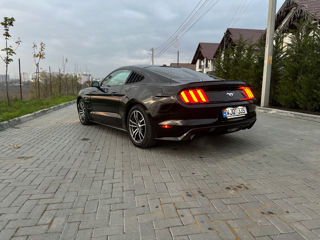 Ford Mustang foto 7