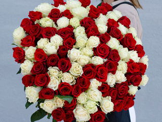 101 trandafiri de la 749 mdl livrare flori 101 роза от 749 лей доставка цветов flowers delivery foto 9