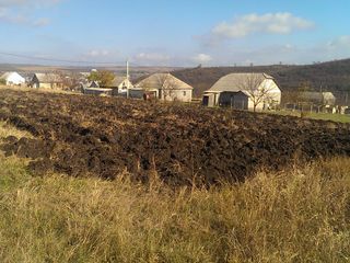 Se vinde lot de pamint pentru constructie,14 ari,in Baltata, (sagaidac de sus)15 km de la Chisinau. foto 5