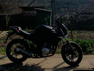 Viper R1 NK foto 6