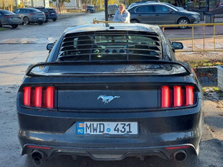 Ford Mustang foto 4