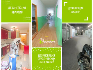 Дезинфекция уничтожение клопов тараканов блох фото 3