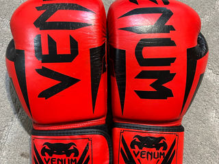 Mănuși de Box Venum 12 OZ