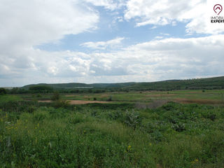 Ialoveni, Bardar, ferma de porci - 4400 m2 si 4,26 ha de teren foto 10