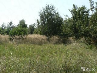 Cumpar teren agricol  30 km de la Chisinau foto 1