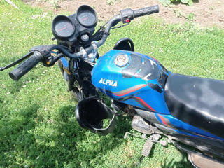 Alpha Moto Alpha foto 5