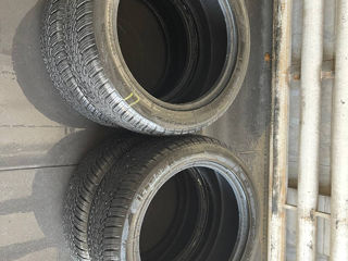 Greenlander Icehawke 235/50 R19 2023 foto 2