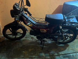 Alpha Moto DX-50 foto 3