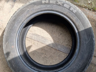 Nexen R15/185/65-1000 lei foto 2