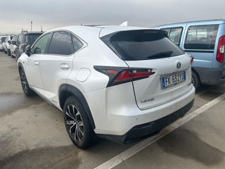 Lexus NX Series foto 4