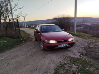 Nissan Almera foto 4